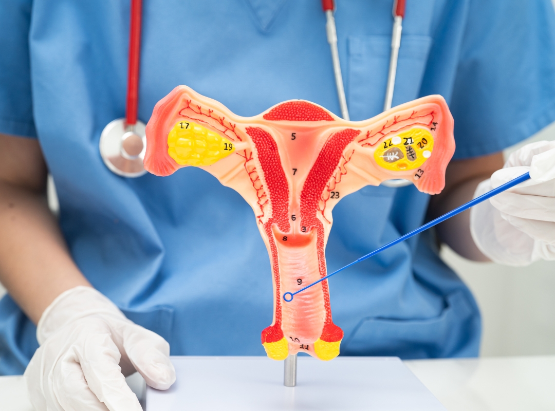 HPV Tem Cura? O Que a Medicina Mais Atual Diz Sobre Isso